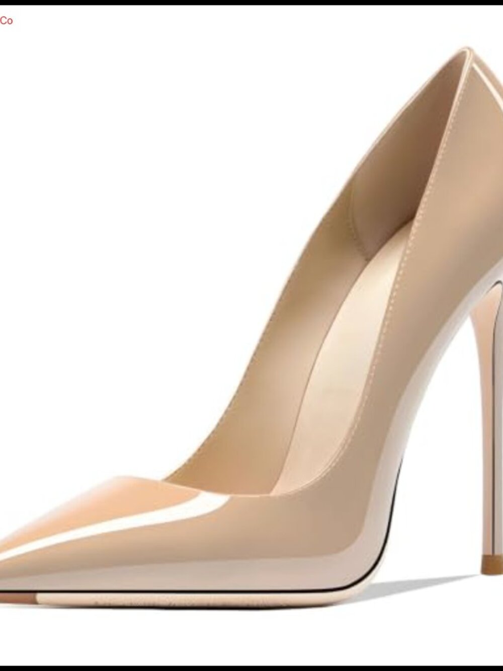 Women's Pointed Toe Stiletto Heels 4.7IN High Heel Pumps for Parties Weddings